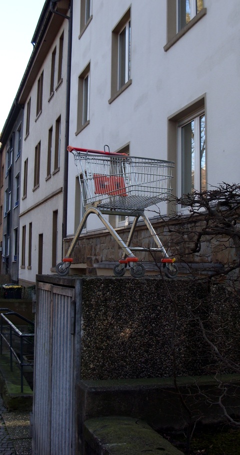 installation eines einkaufswagens.jpg