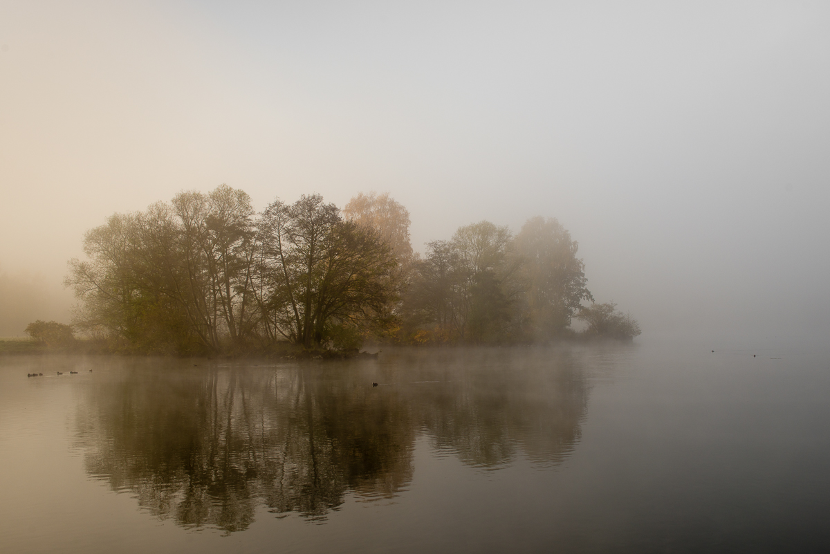 Insel im Nebel