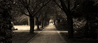 Friedhof Gerthe und Friedhof Harpen