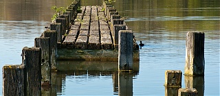 Steg am Ümminger See