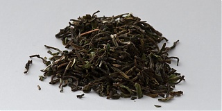 Darjeeling STGFOP Lingia First Flush