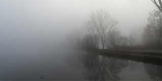Noch mehr Nebel am Ümminger See